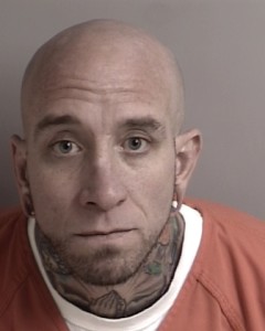 Shawn McGrath